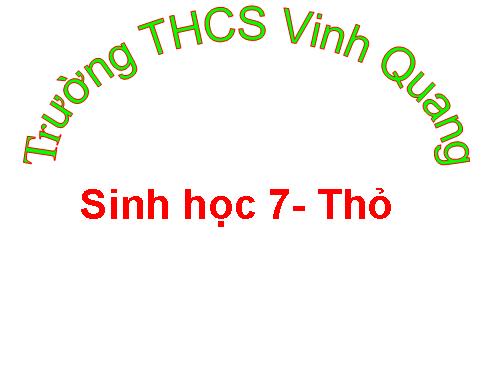 Bài 46. Thỏ