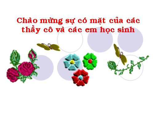 Bài 48. Đa dạng của lớp Thú: Bộ Thú huyệt, bộ Thú túi