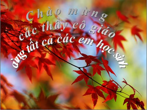 Bài 40. Đa dạng và đặc điểm chung của lớp Bò sát