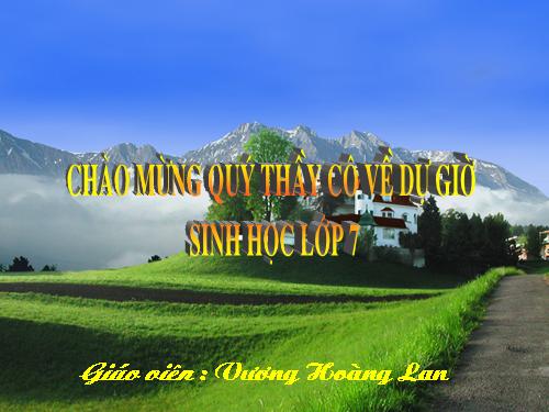 Bài 26. Châu chấu