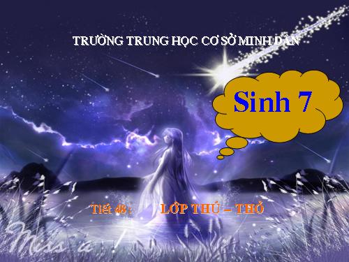 Bài 46. Thỏ
