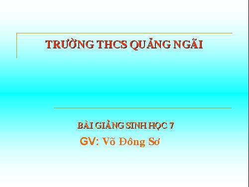 Bài 46. Thỏ