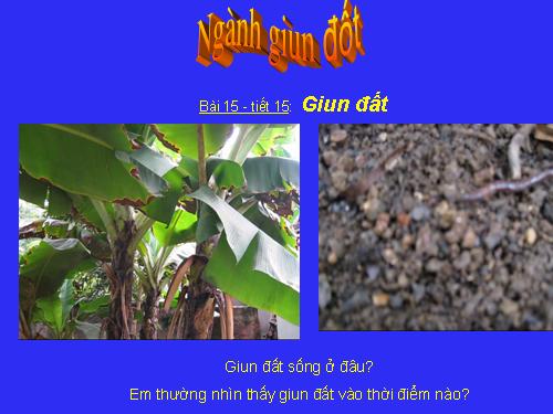 Bài 15. Giun đất