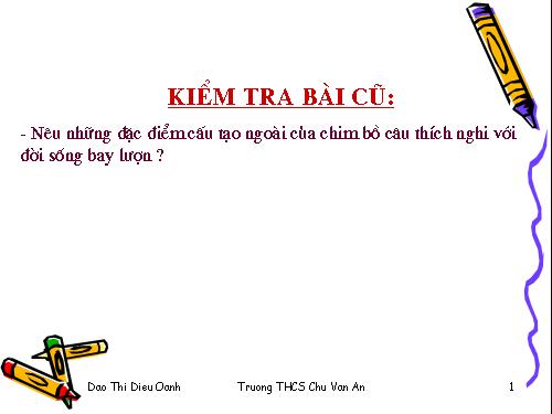 Bài 44. Đa dạng và đặc điểm chung của lớp Chim