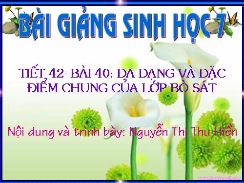 Bài 40. Đa dạng và đặc điểm chung của lớp Bò sát
