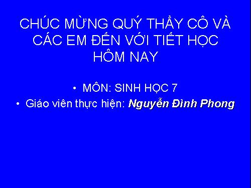 Bài 51. Đa dạng của lớp Thú: Các bộ Móng guốc và bộ Linh trưởng