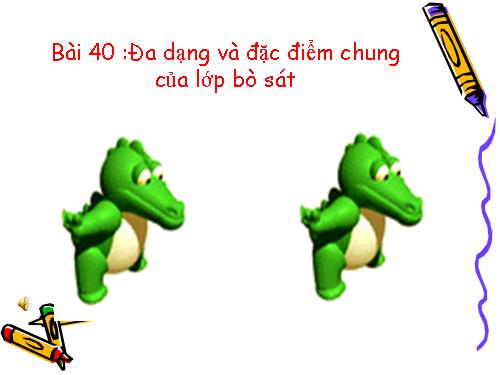 Bài 40. Đa dạng và đặc điểm chung của lớp Bò sát