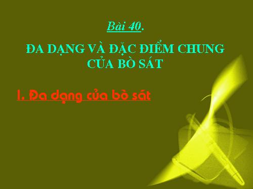 Bài 40. Đa dạng và đặc điểm chung của lớp Bò sát