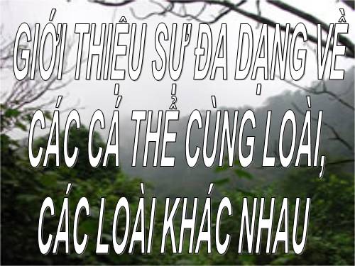 Bài 57. Đa dạng sinh học