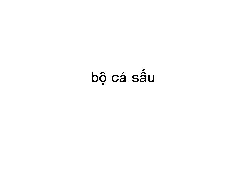Bộ cá sấu, có vảy, rùa