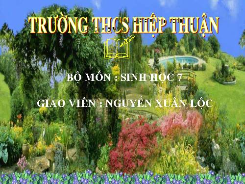 Bài 17. Một số giun đốt khác và đặc điểm chung của ngành Giun đốt