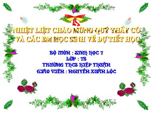 Bài 27. Đa dạng và đặc điểm chung của lớp Sâu bọ