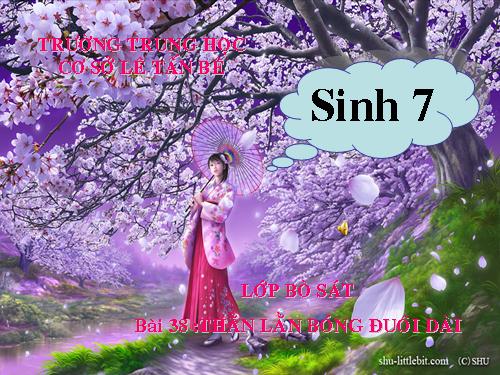 Bài 38. Thằn lằn bóng đuôi dài