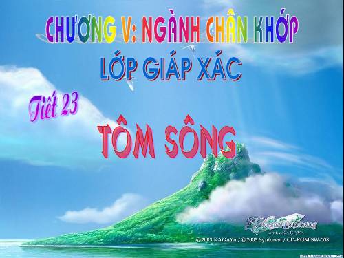Bài 22. Tôm sông