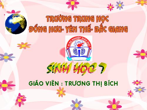 Bài 39. Cấu tạo trong của thằn lằn