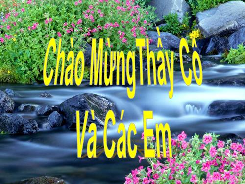 Bài 41. Chim bồ câu