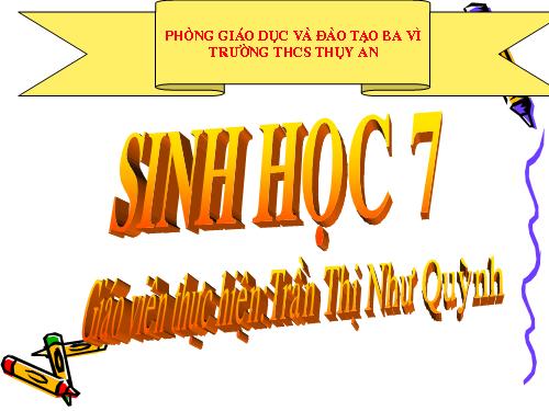 Bài 26. Châu chấu