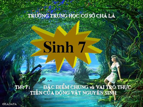 Bài 7. Đặc điểm chung và vai trò thực tiễn của Động vật nguyên sinh