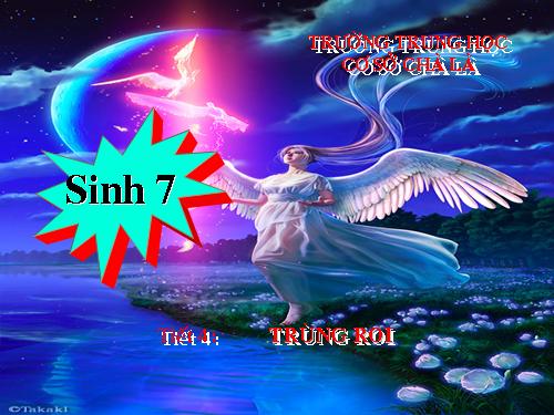 Bài 4. Trùng roi