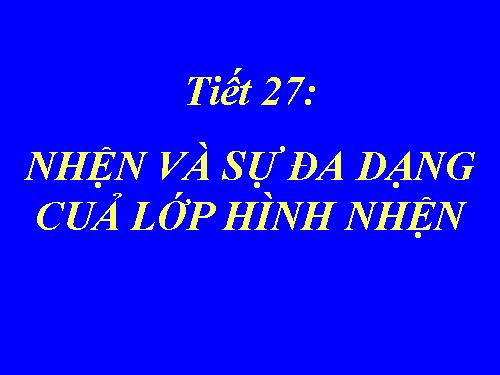Bài 25. Nhện và sự đa dạng của lớp Hình nhện