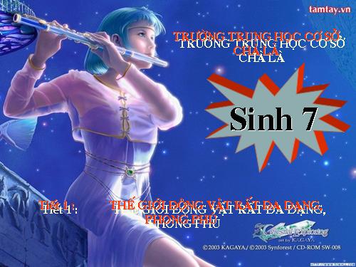 Bài 1. Thế giới động vật đa dạng, phong phú