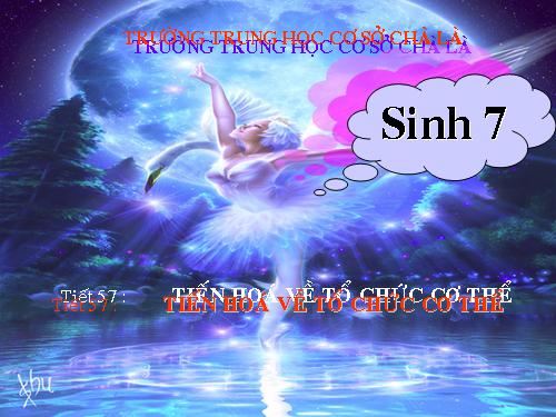 Bài 54. Tiến hoá về tổ chức cơ thể