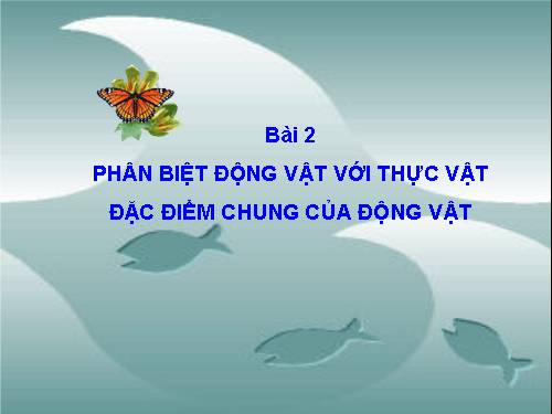 Bài 2. Phân biệt động vật với thực vật. Đặc điểm chung của động vật