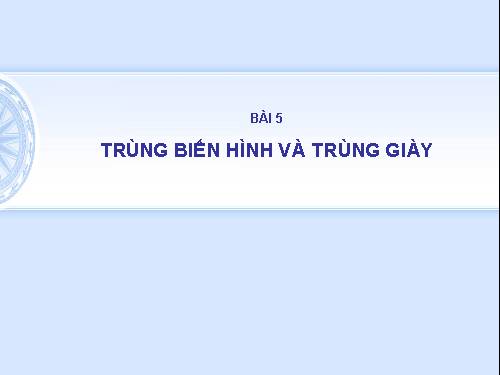 Bài 5. Trùng biến hình và trùng giày