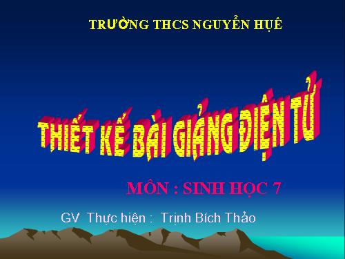 Bài 37. Đa dạng và đặc điểm chung của lớp Lưỡng cư