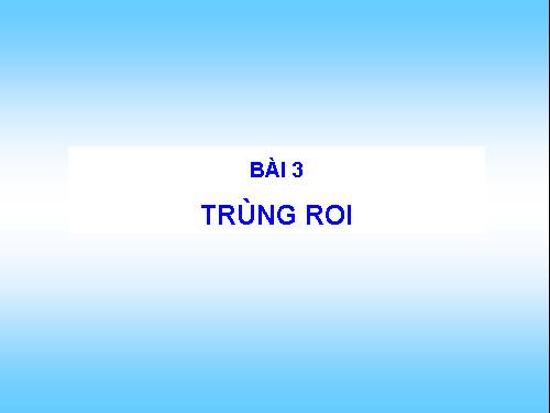 Bài 4. Trùng roi