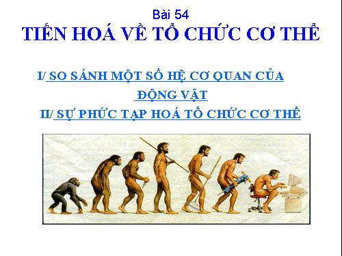 Bài 54. Tiến hoá về tổ chức cơ thể