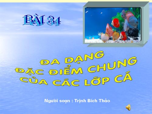 Bài 34. Đa dạng và đặc điểm chung của các lớp Cá