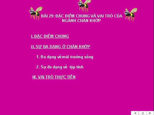 Bài 29. Đặc điểm chung và vai trò của ngành Chân khớp