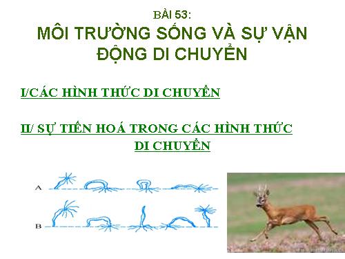 Bài 53. Môi trường sống và sự vận động, di chuyển