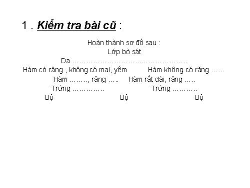 Bài 41. Chim bồ câu