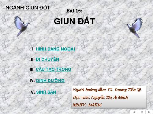 Bài 15. Giun đất