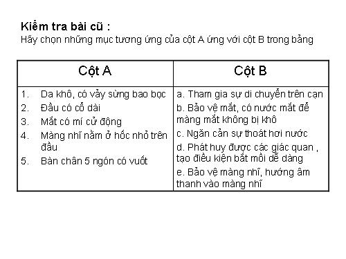 Bài 39. Cấu tạo trong của thằn lằn