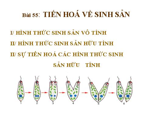 Bài 55. Tiến hoá về sinh sản