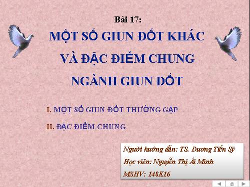 Bài 17. Một số giun đốt khác và đặc điểm chung của ngành Giun đốt