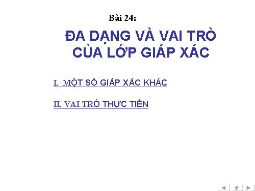 Bài 24. Đa dạng và vai trò của lớp Giáp xác