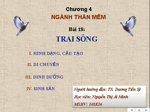 Bài 18. Trai sông