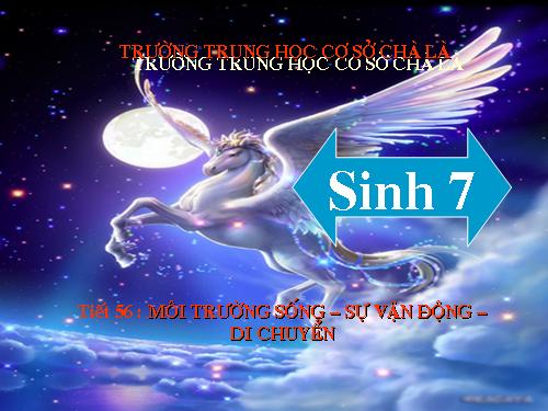 Bài 53. Môi trường sống và sự vận động, di chuyển