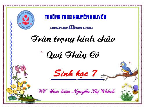 Bài 18. Trai sông