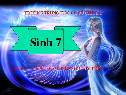 Bài 47. Cấu tạo trong của thỏ