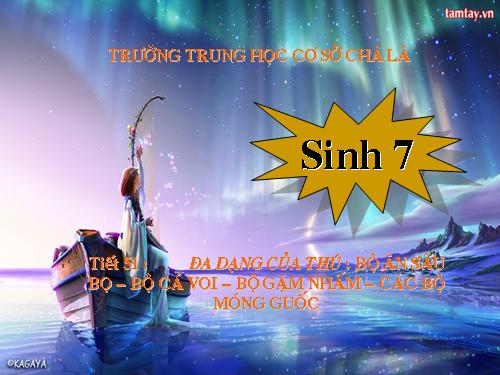 Bài 50. Đa dạng của lớp Thú: Bộ Ăn sâu bọ, bộ Gặm nhấm, bộ Ăn thịt