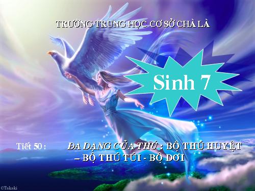 Bài 48. Đa dạng của lớp Thú: Bộ Thú huyệt, bộ Thú túi