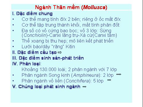 Bài 19. Một số thân mềm khác