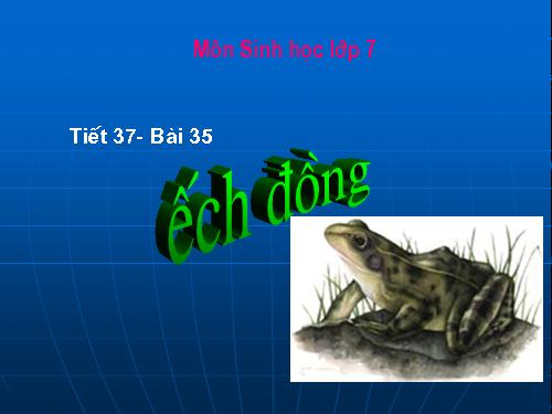 Bài 35. Ếch đồng