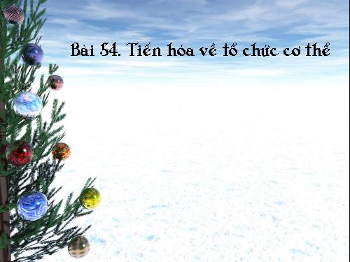 Bài 54. Tiến hoá về tổ chức cơ thể