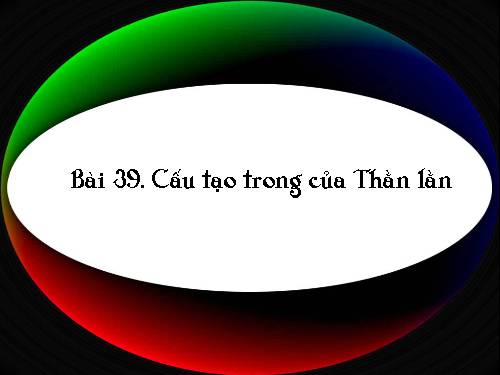 Bài 39. Cấu tạo trong của thằn lằn